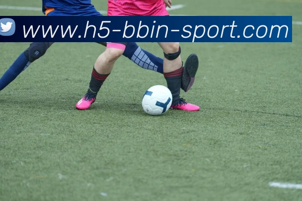 BBIN体育发展历程